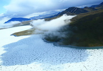 To The Arctic