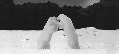 Bears
