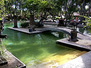 hyatt pool