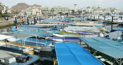 cabo san lucas