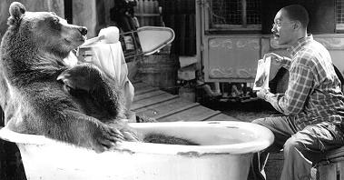 Dr. Dolittle 2