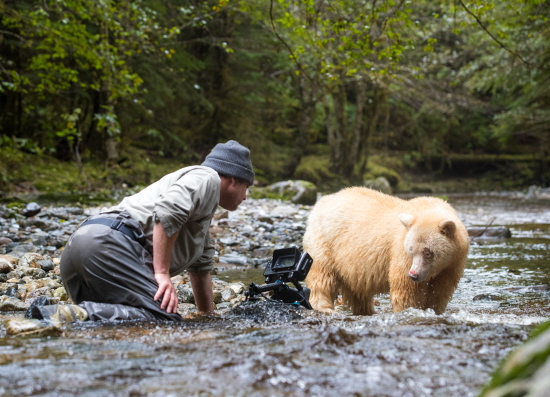 Great Bear Rainforest