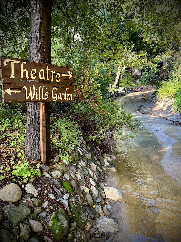 TheatricumSignbyCarolynElliott