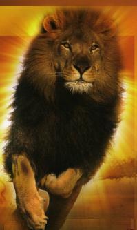 roar