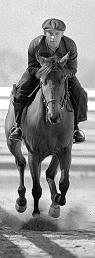 Seabiscuit